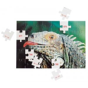 MATH PUZZLES - ADDIZIONI E SOTTRAZIONI ENTRO IL 1000