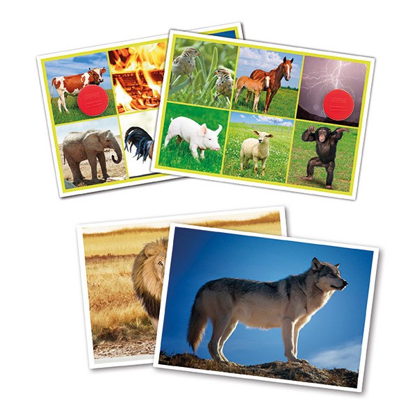 Guarda e Ascolta - Animali e Natura