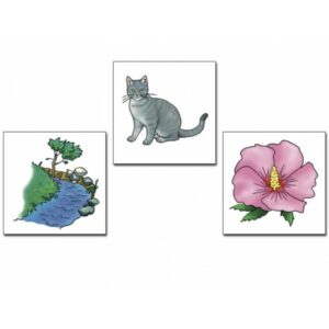 Vocabolario illustrato - Animali, Piante e Natura